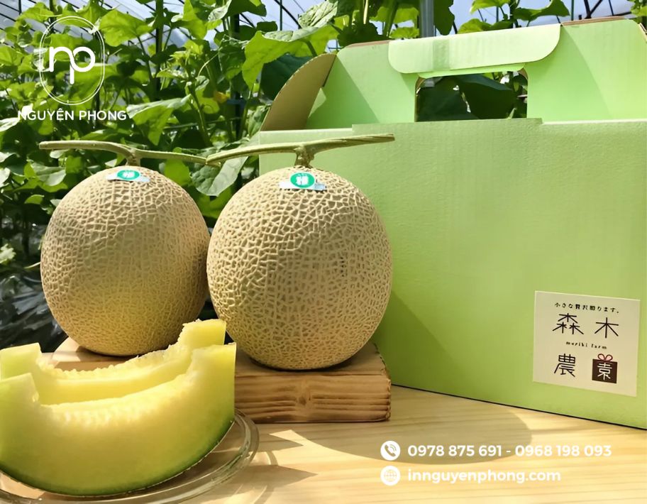 In hộp carton đựng trái cây